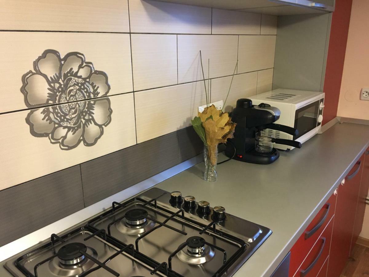 דירות Tîrgu Ocna Apartament Antonia מראה חיצוני תמונה